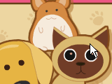 Play Animal shelter now !
