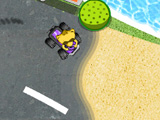 Play Racoon racing now !