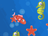 Play Star fish now !