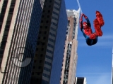 Play Spiderman photo catch 2 now !