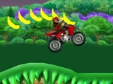 Play Donkey kong atv now !