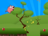 Play Oink bunk now !