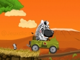 Play Safari time now !