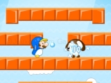 Play Mario arctic adventure now !