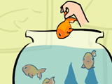 Play Save them goldfish now !